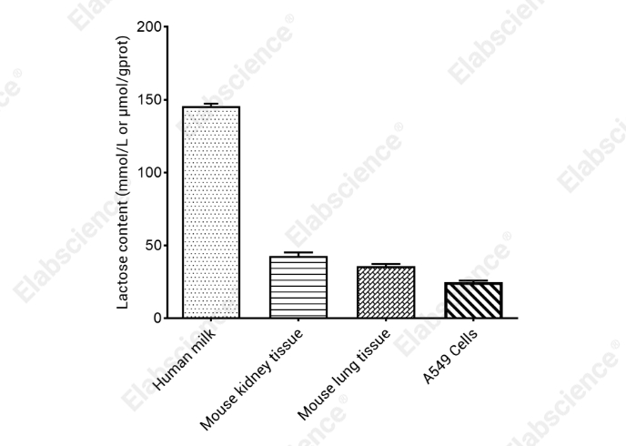 Lactose Colorimetric Assay Kit - 2