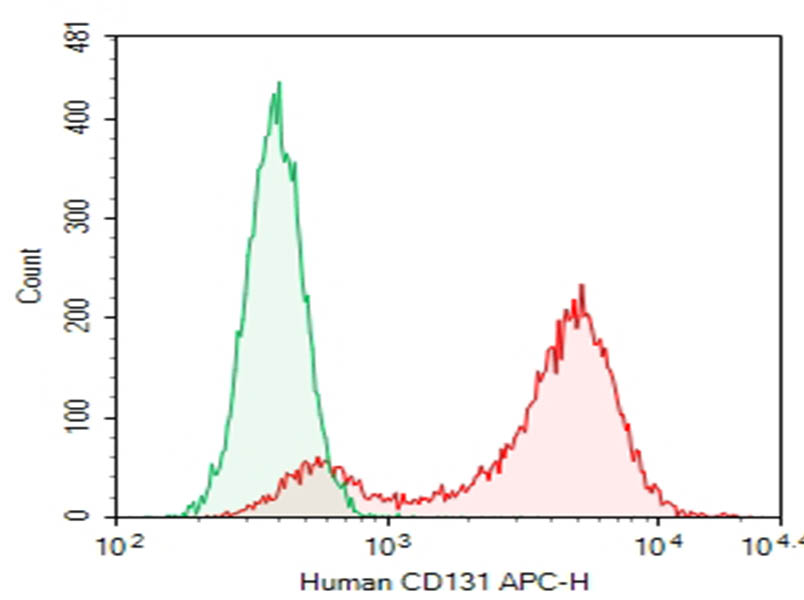 HEK293T cells transfected with pcDNA3.1 plasmid encoding Human CD131 gene were stained with 0.2 ug Purified Anti-Human CD131 Antibody[BION-1] (Right) and 0.2 ug Rabbit IgG1, &kappa; Isotype Control (Left), followed by APC-conjugated Goat Anti-Rabbit IgG Secondary Antibody.