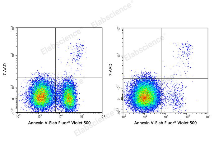 Annexin V-Elab Fluor® Violet 500/7-AAD Apoptosis Kit-1