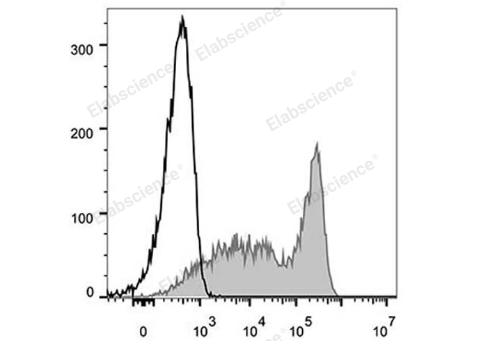 FITC Anti-Mouse CD90.2/Thy1.2 Antibody[30H12]-1