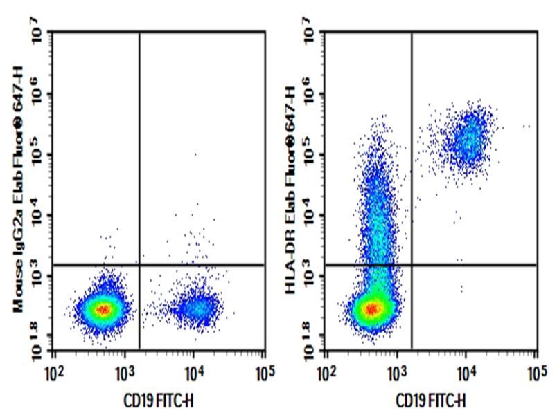 AF/LE Purified Anti-Human HLA-DR Antibody[L243]-1