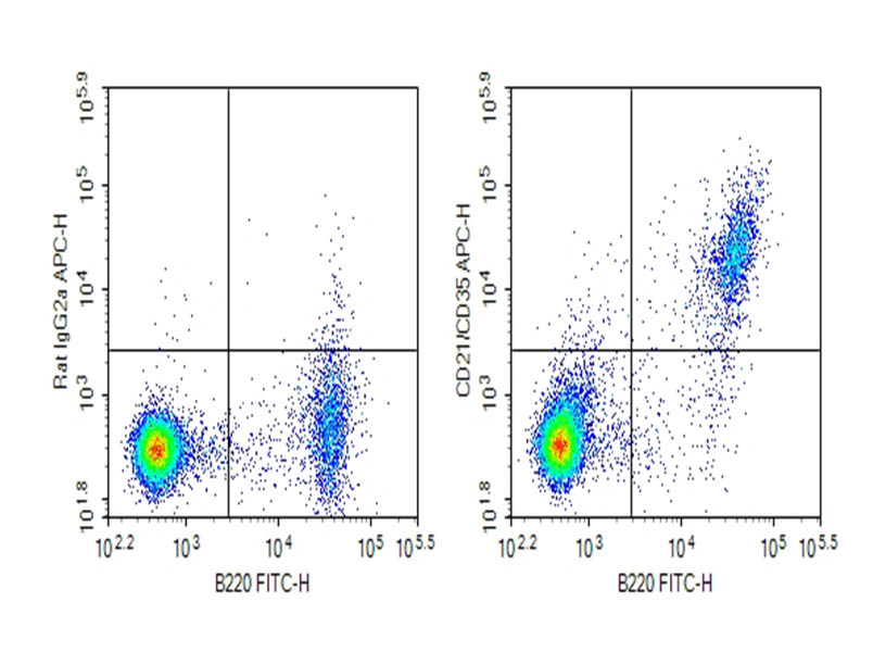 Purified Anti-Mouse CD21/CD35 Antibody[7E9] - 1