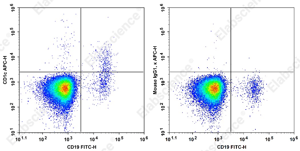 APC Anti-Human CD1c Antibody[L161] - 1