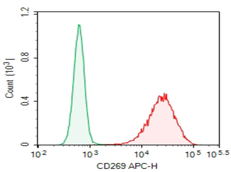 Purified Anti-Human CD269 Antibody[19F2] - 1