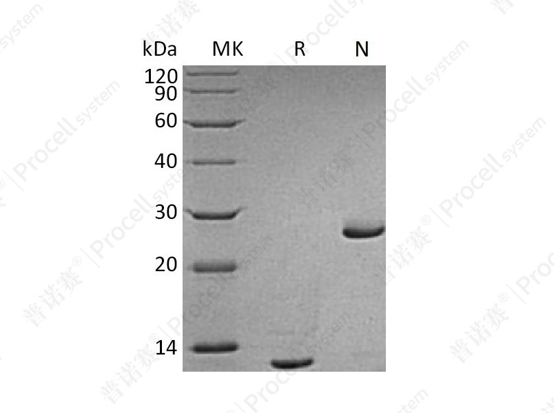 https://789.bio/ec/LtW58K