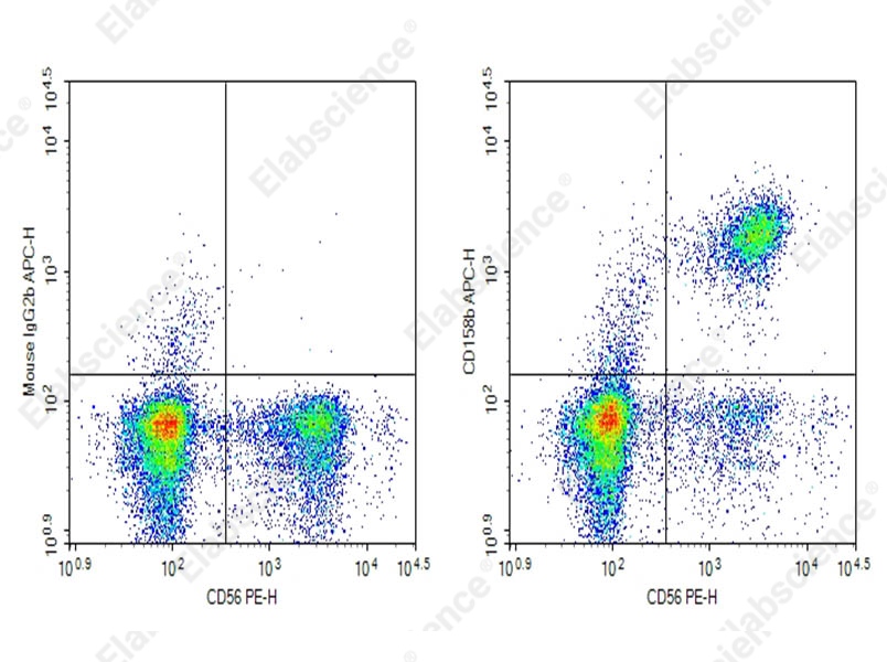 Purified Anti-Human CD158b Antibody[DA013] - 1