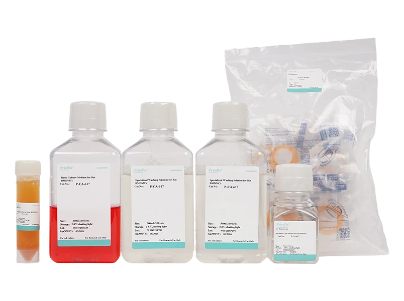 Rat Bone Marrow-Derived Macrophage Cells Isolation and Culture Kit - small - 2