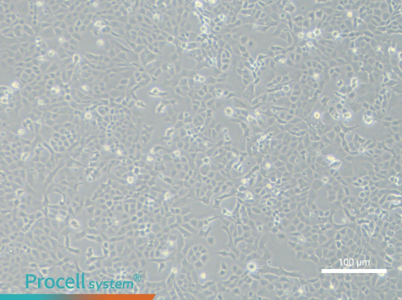 MLE-12MLE-12 - 3