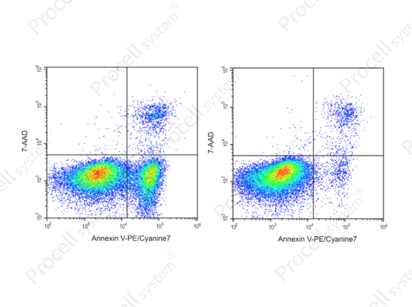 Annexin V-PE/Cyanine7/7-AAD Apoptosis KitAnnexin V-PE/Cyanine7/7-AAD Apoptosis Kit - 1