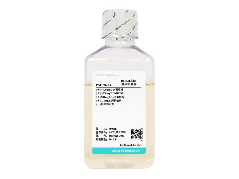 https://789.bio/ec/LxdtdlKE