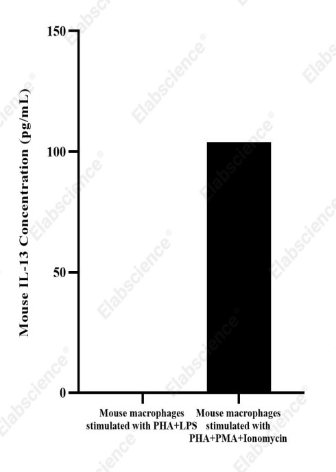 Uncoated Mouse IL-13（Interleukin 13） ELISA Kit - 5