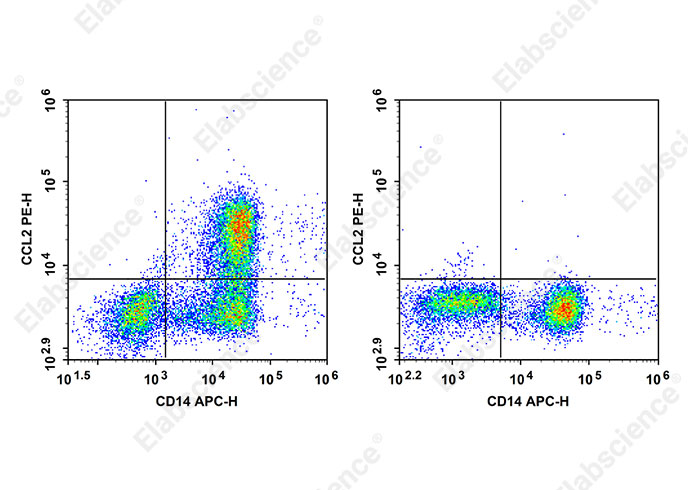PE Anti-Human CCL2 Antibody[2H5]（AN00841D）-Elabscience伊莱瑞特