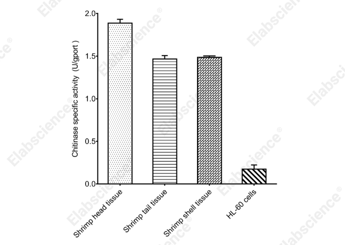 Chitinase Activity Colorimetric Assay Kit - 1