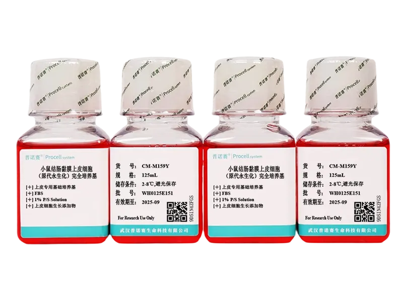 https://789.bio/ec/MBXvEG5S
