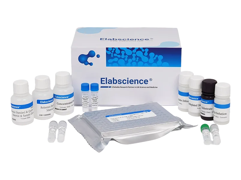 CellaQuant™ Human IL-4 (Interleukin 4) ELISA Kit - 6