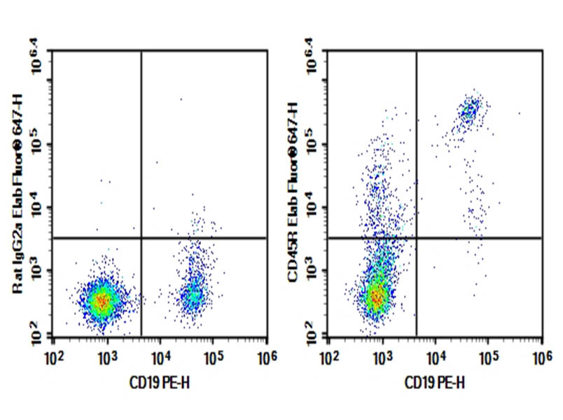 Purified Anti-Mouse CD11a Antibody[FD441.8]-产品推荐-1