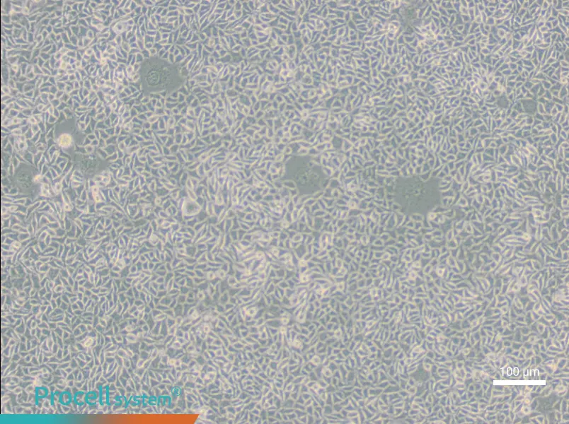 B82B82 - 3