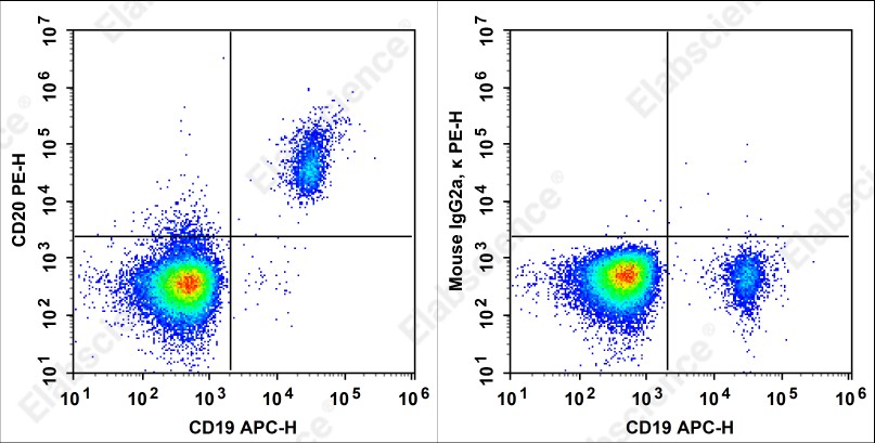 PE Anti-Human CD20 Antibody[HI20a] - 1