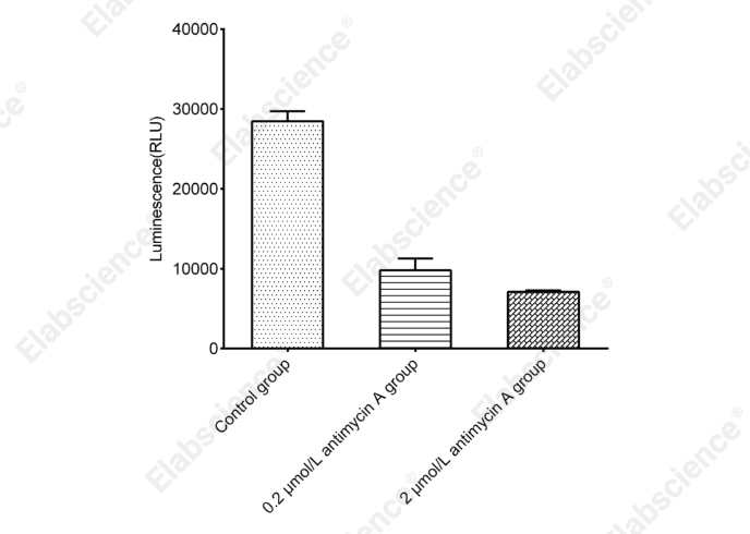 Cell Viability Chemiluminescence Assay Kit - 3