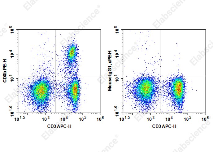PE Anti-Rat CD8b Antibody[341] - 1