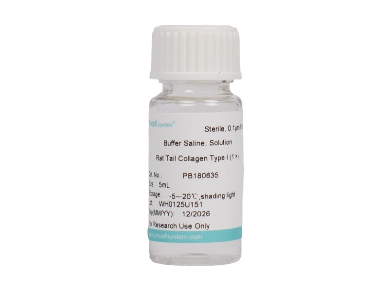 Rat tail tendon collagen type I（12 &mu;g/mL）