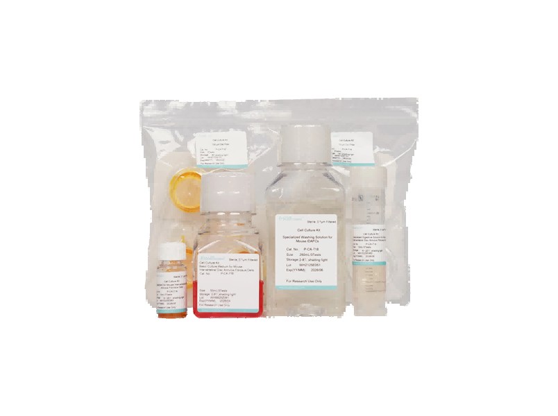 Mouse Intervertebral Disc Annulus Fibrosus Cell Isolation and Culture Kit