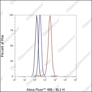 Recombinant TFIIF beta Monoclonal Antibody - 3