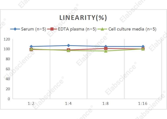 Mini Sample Human IL-3 (Interleukin-3) ELISA Kit - 2