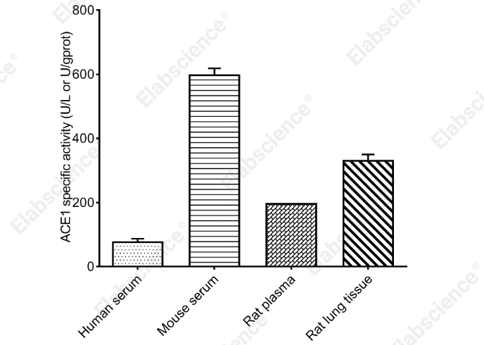 Angiotensin Converting Enzyme (ACE1) Activity Assay Kit - 1