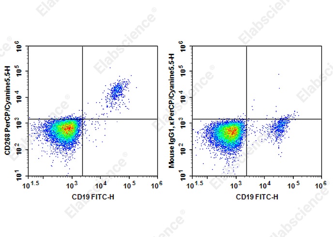 PerCP/Cyanine 5.5 Anti-Human CD268 Antibody[7H12] - 1