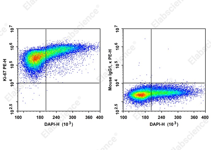 PE Anti-Human Ki-67 Antibody[3B7]-searchlist-1