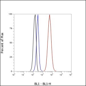 Recombinant Heme Oxygenase 1 Monoclonal Antibody - small - 8