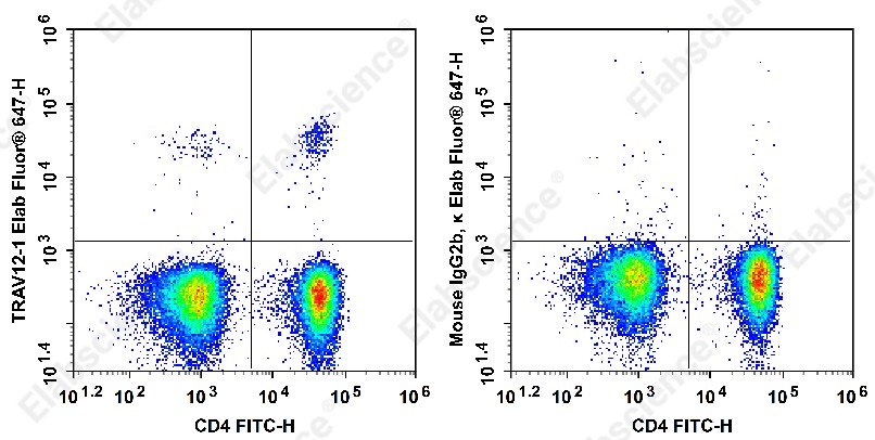 Elab Fluor<sup>&reg;</sup>647 Anti-Human TCRβV 12 Antibody[S511] - 1