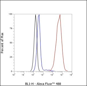Recombinant alpha smooth muscle Actin Monoclonal Antibody - small - 8