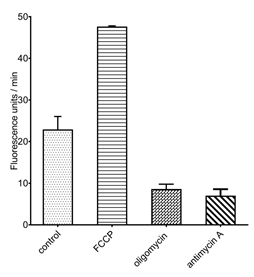 Enhanced Oxygen Consumption Rate (OCR) Fluorometric Assay Kit-searchlist-2