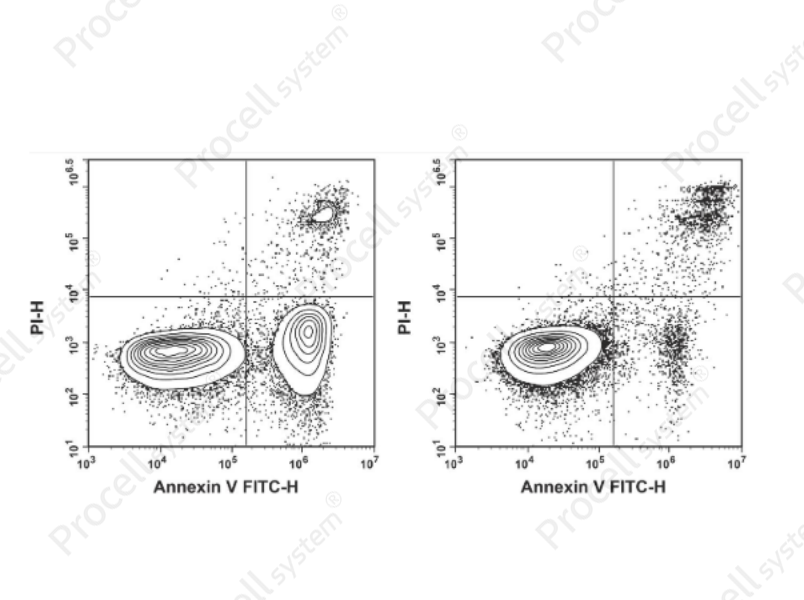 Annexin V-FITC Reagent