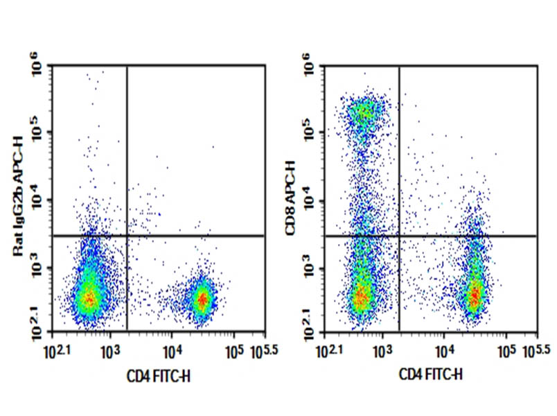 Purified Anti-Mouse CD8 Antibody[S18018E]-searchlist-1
