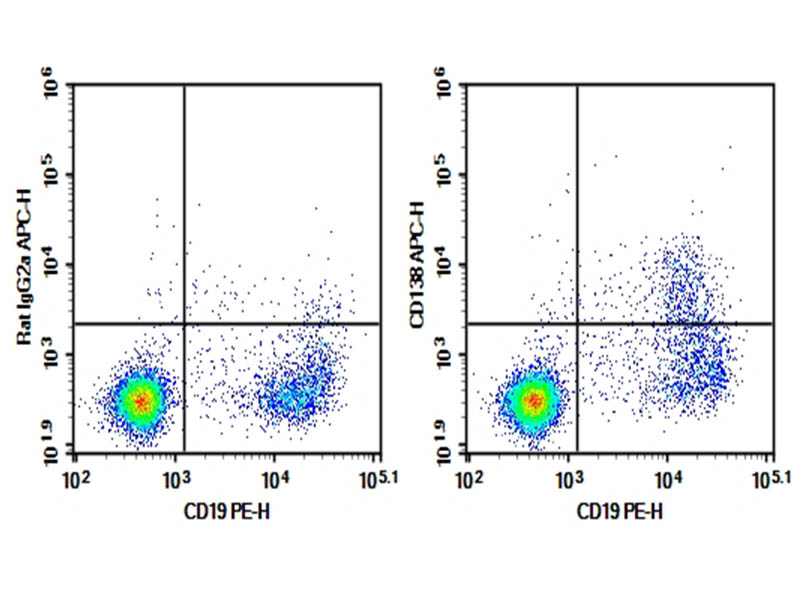 Purified Anti-Mouse CD138 Antibody[281-2]-searchlist-1