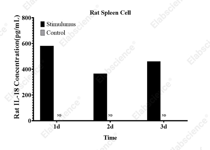 CellaQuant™ Rat IL-18 (Interleukin 18) ELISA Kit - 3