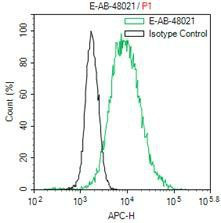 HA-Tag Monoclonal Antibody - 2