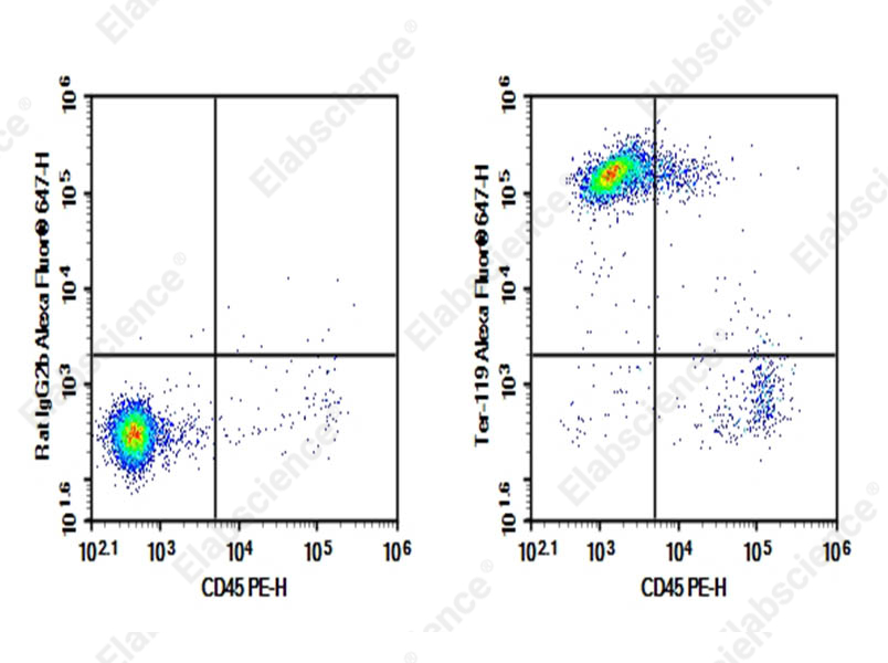 Purified Anti-Mouse TER-119 Antibody[TER-119], Functional Grade - 1