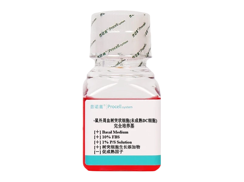 https://789.bio/ec/NKRIm3rZ