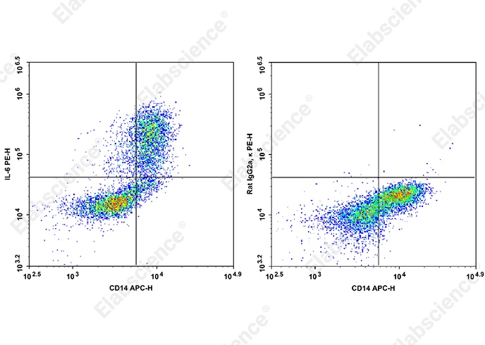 PE Anti-Human IL-6 Antibody[MQ2-39C3] - 1