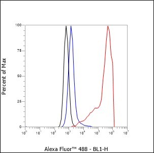Recombinant NSE Monoclonal Antibody - small - 6