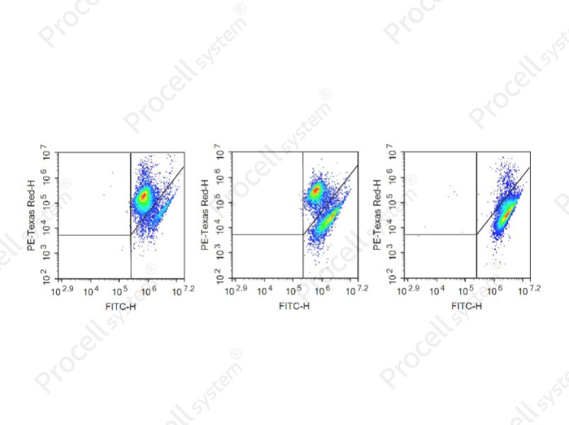 Mitochondrial Membrane Potential Assay Kit (with JC-1)Mitochondrial Membrane Potential Assay Kit (with JC-1) - 1