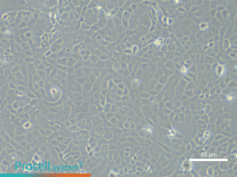 MLE-12MLE-12 - 5