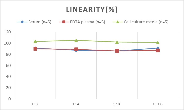 Rat hs-CRP(high-sensitivity C-Reactive Protein) ELISA Kit-产品推荐-4
