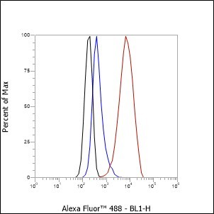 Recombinant S100A1 Monoclonal Antibody - small - 5