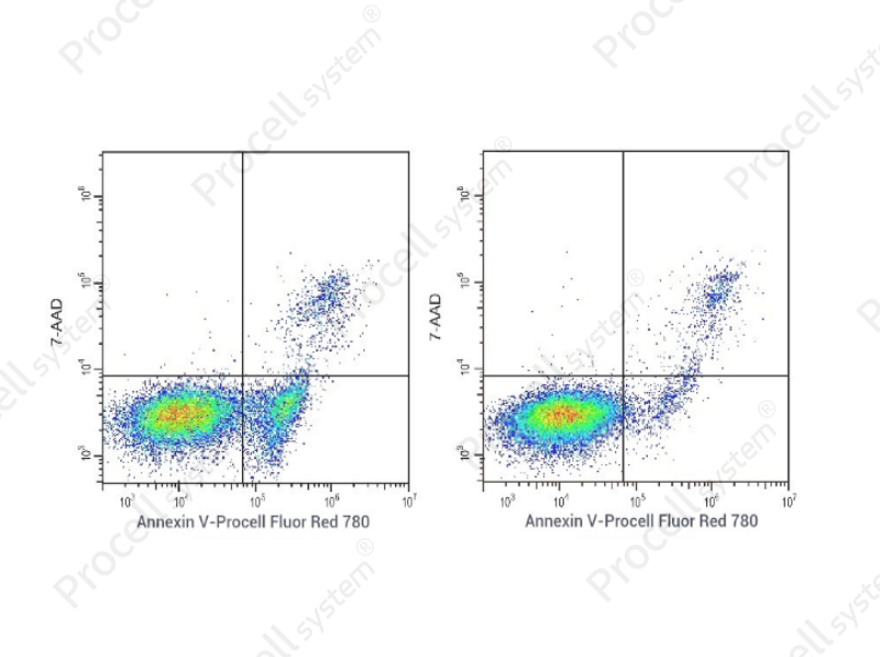 Annexin V-Procell Fluor Red 780/7-AAD Apoptosis KitAnnexin V-Procell Fluor Red 780/7-AAD Apoptosis Kit - 1
