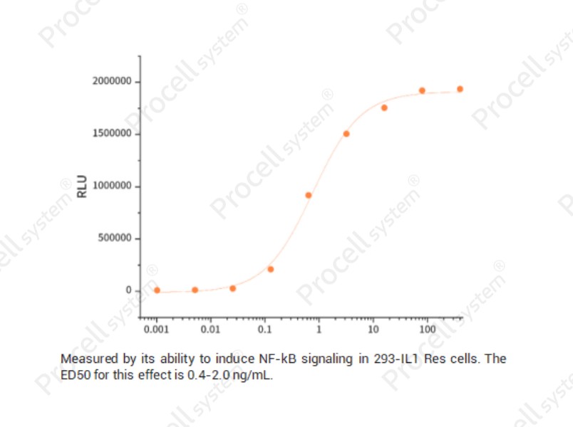 IL-1α/IL1F1, Human, RecombinantIL-1α/IL1F1, Human, Recombinant - 2